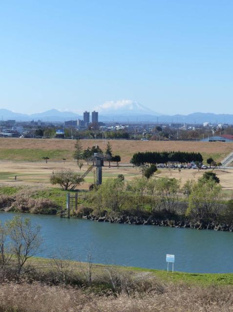 氷川神社十日市_f0296312_13254871.jpg