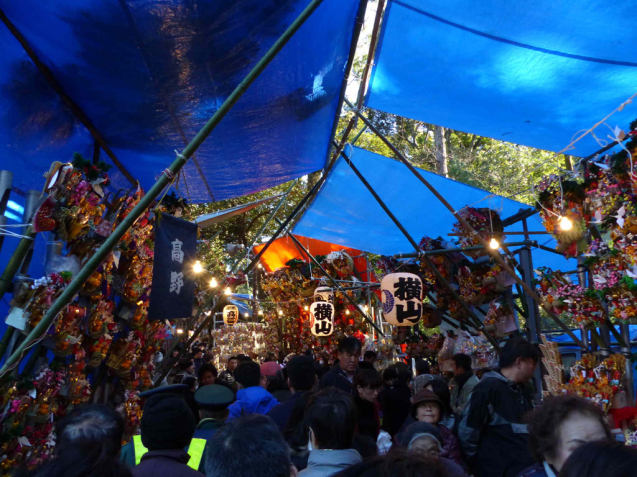 氷川神社十日市_f0296312_14333845.jpg