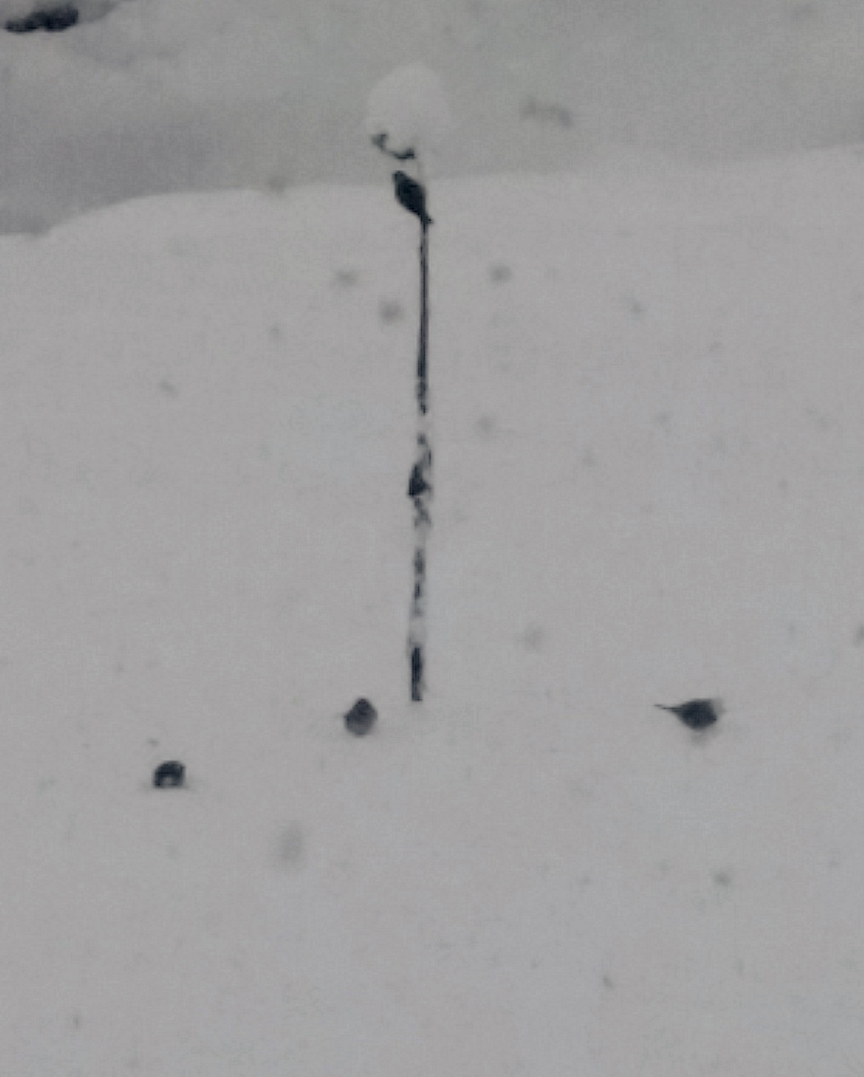 f0357714_12473558.jpg