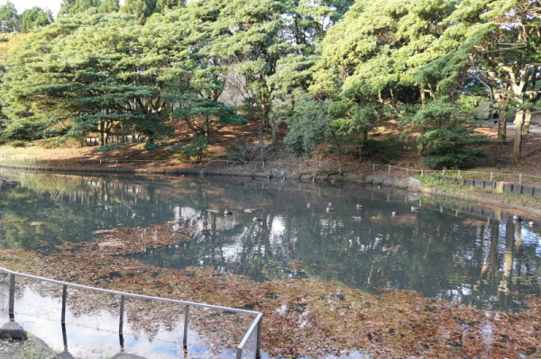 f0369014_11084846.jpg