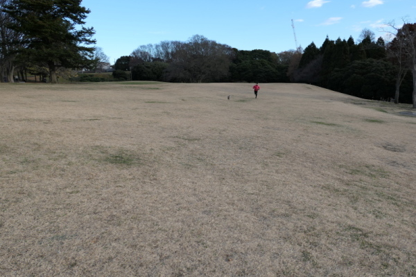 f0369014_11115743.jpg