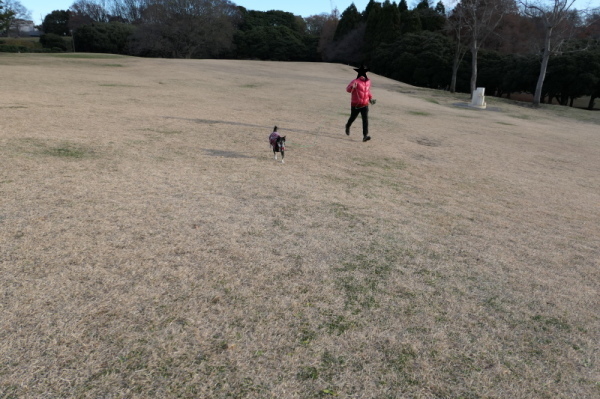 f0369014_11142787.jpg