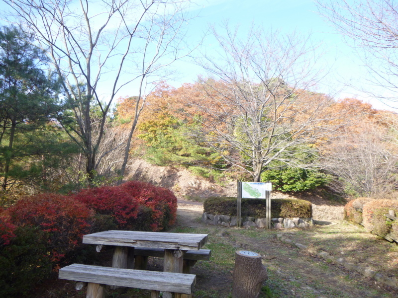 少し紅葉が残る　百々ｹ峯 (418M) 下山する_d0170615_15473835.jpg