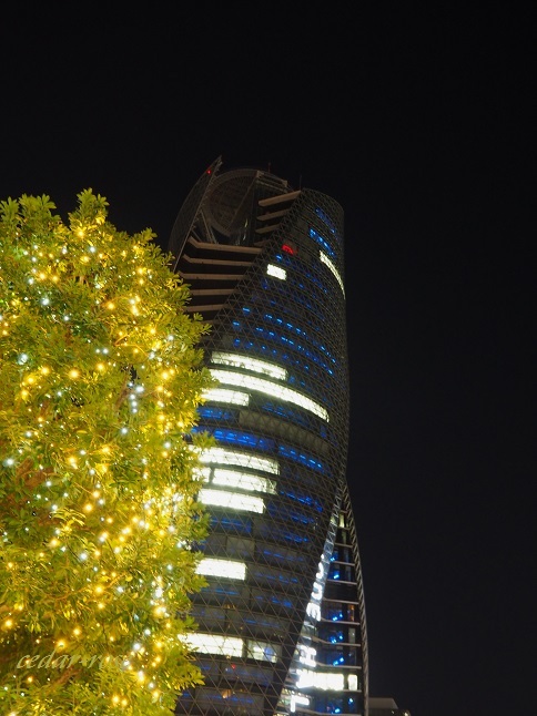 e0339317_18572080.jpg