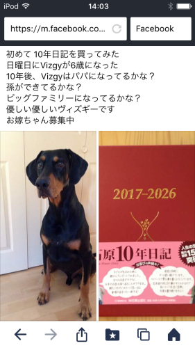 c0324418_15155303.png