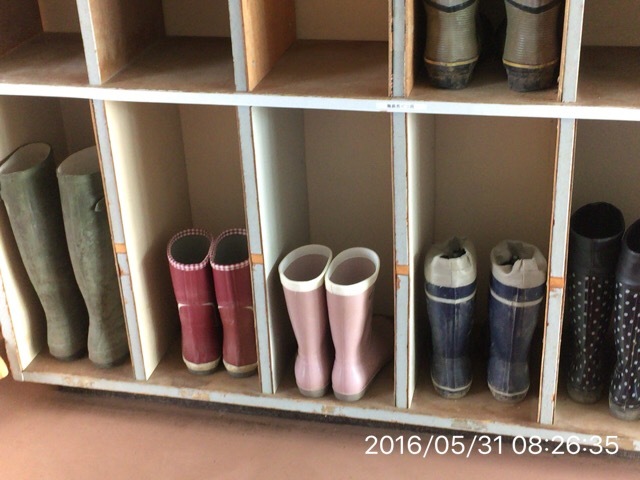 新山小学校の「たま」ちゃんが天国に召されました_c0087023_12583989.jpg