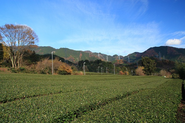 e0321325_13574437.jpg