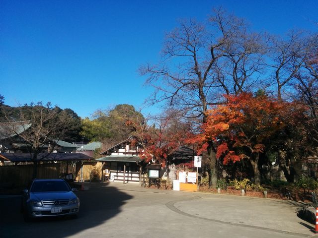 e0108126_15445505.jpg