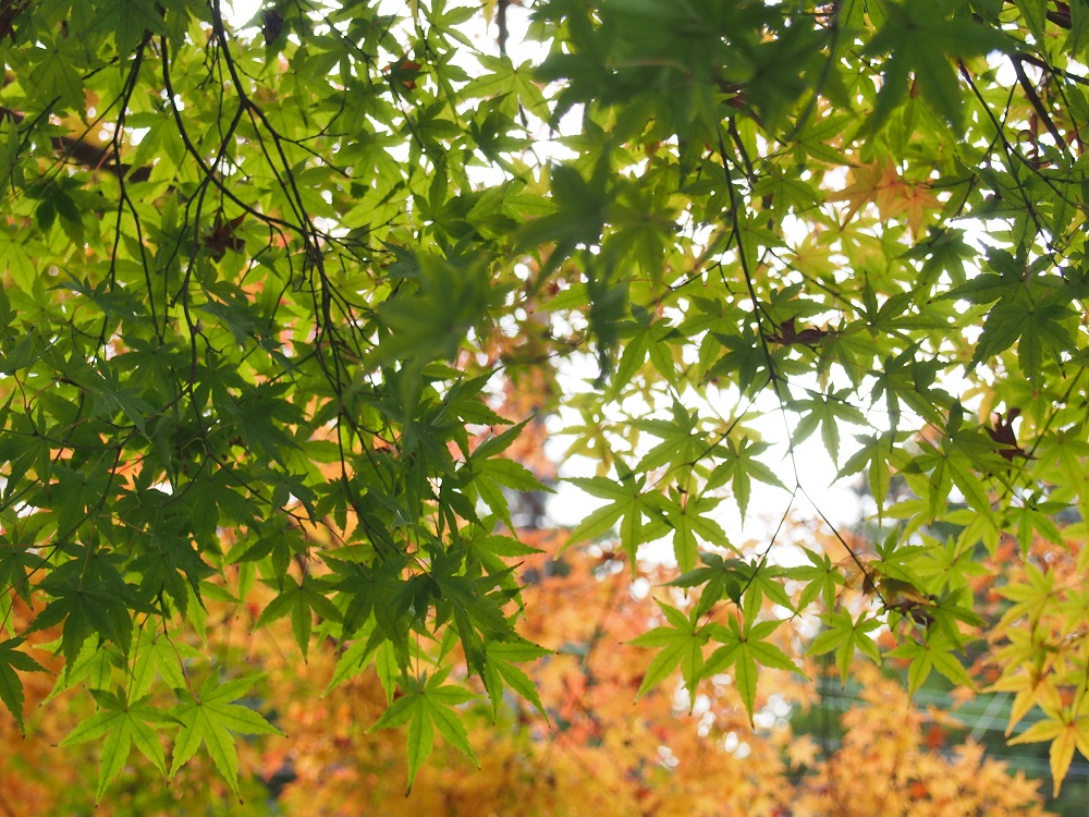 b0368629_9292513.jpg
