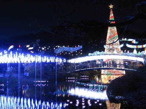 a0158236_20383466.jpg