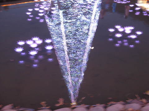a0158236_20502056.jpg
