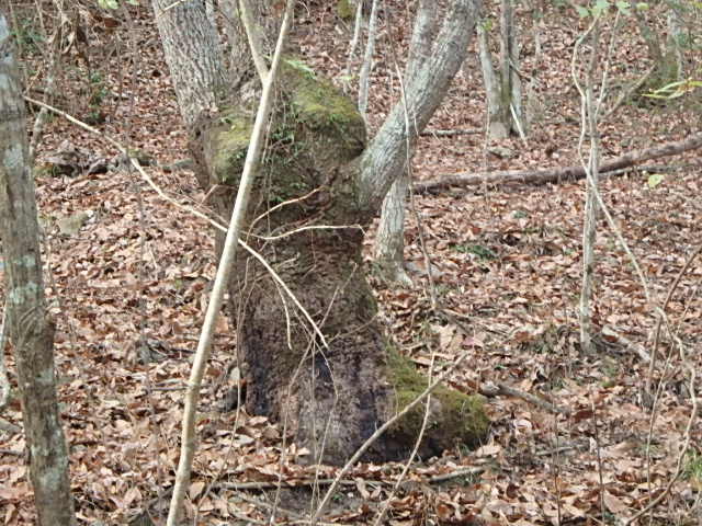 f0334143_2155051.jpg