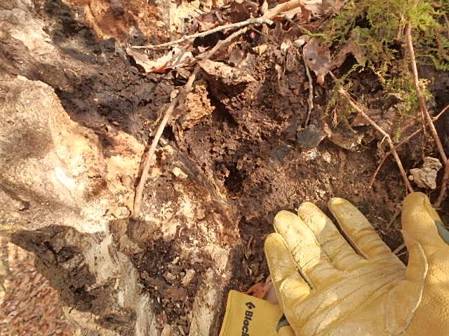 f0334143_2162822.jpg
