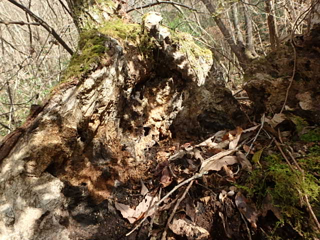 f0334143_2163329.jpg