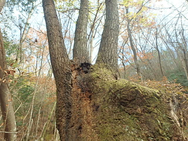 f0334143_2164018.jpg