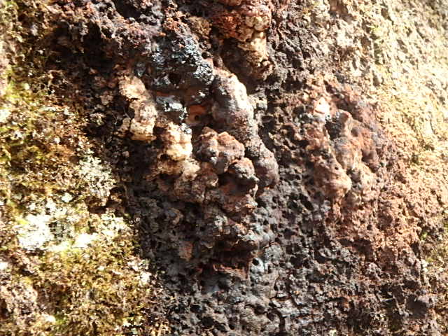 f0334143_2165460.jpg