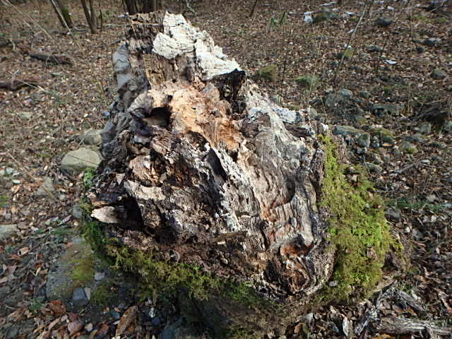 f0334143_216563.jpg