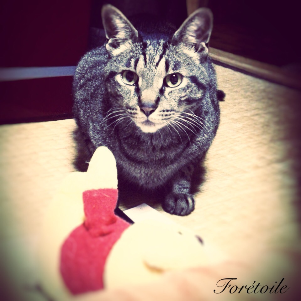 chat_f0377243_23403415.jpg