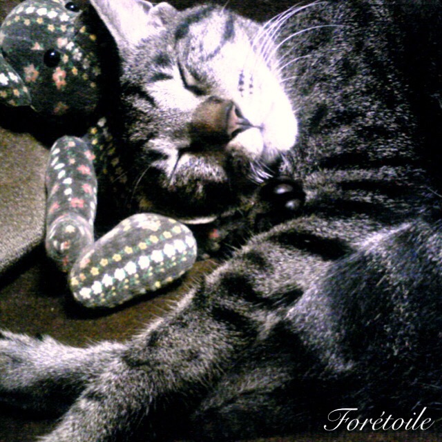 chat_f0377243_23571541.jpg