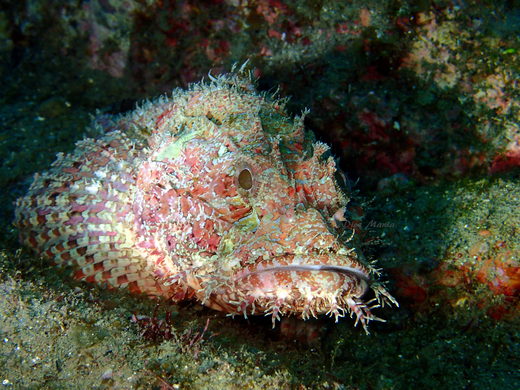 b0236647_1474742.jpg