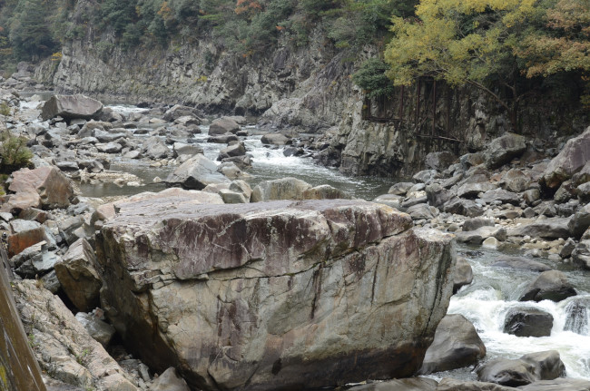 d0002247_1531962.jpg
