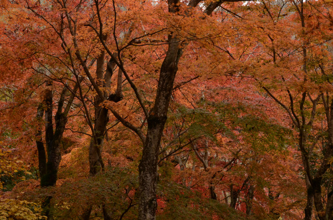 d0002247_1544974.jpg