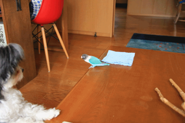c0145250_12072041.gif