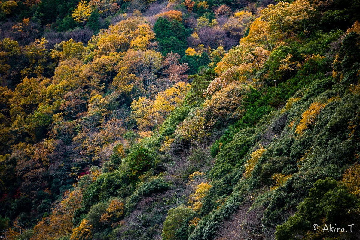 f0152550_18425188.jpg