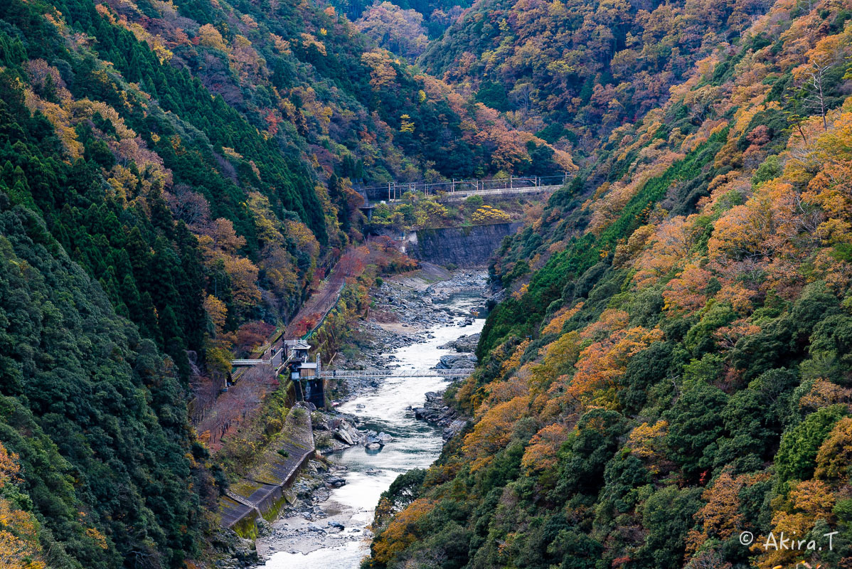 f0152550_18454926.jpg