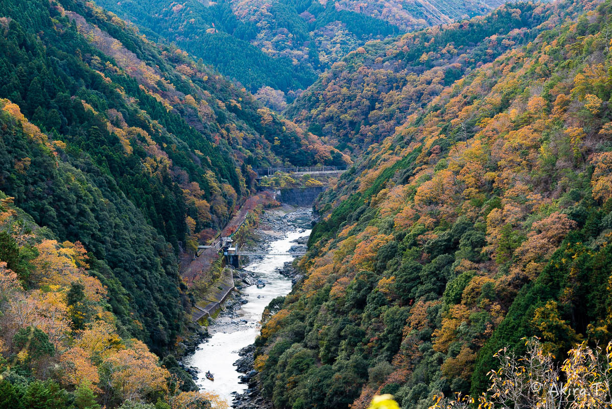 f0152550_18460394.jpg