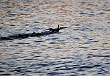 a0335853_08445917.jpg