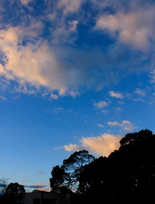 a0248459_14512086.jpg