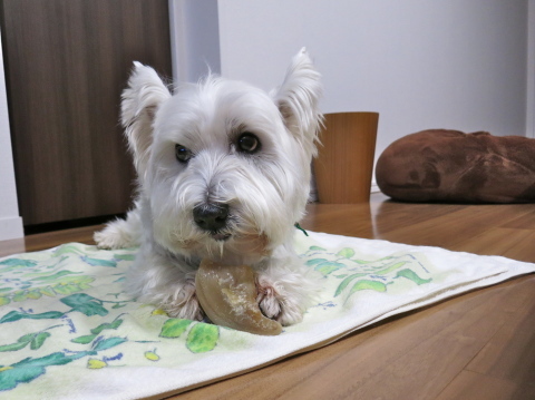 復活の「ひずめラブ♡」_c0260460_21243589.jpg