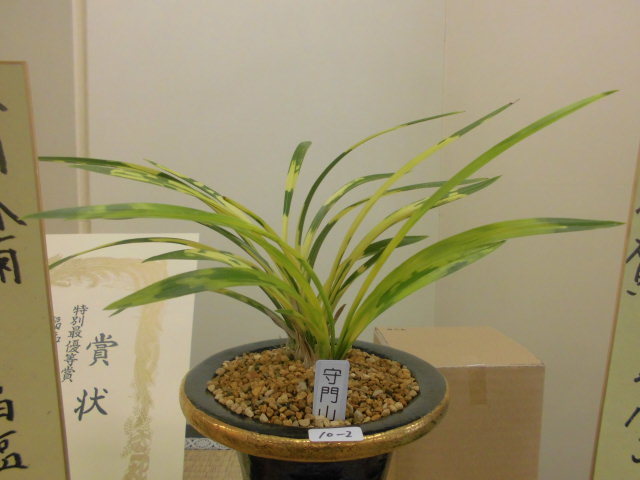 f0318967_21352326.jpg