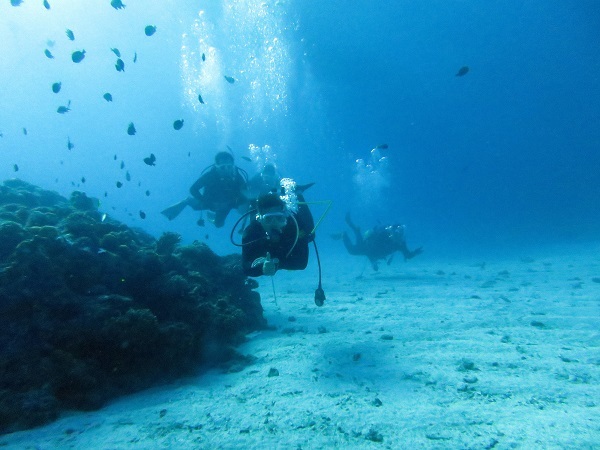 水納島、瀬底島でファンダイビング!!_a0156273_15561529.jpg