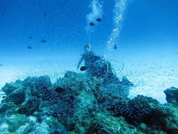 水納島、瀬底島でファンダイビング!!_a0156273_15561610.jpg