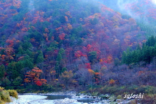 中山七里 飛騨川 秋景色 65 ようこそ ときめきフォトへ 中山七里 飛騨川 秋景色 65 ようこそ ときめきフォトへ