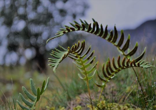 b0346378_18184937.jpg