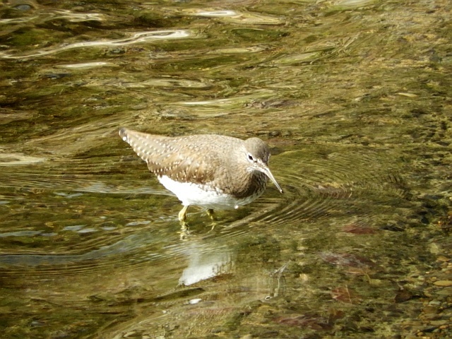 f0378979_22564247.jpg