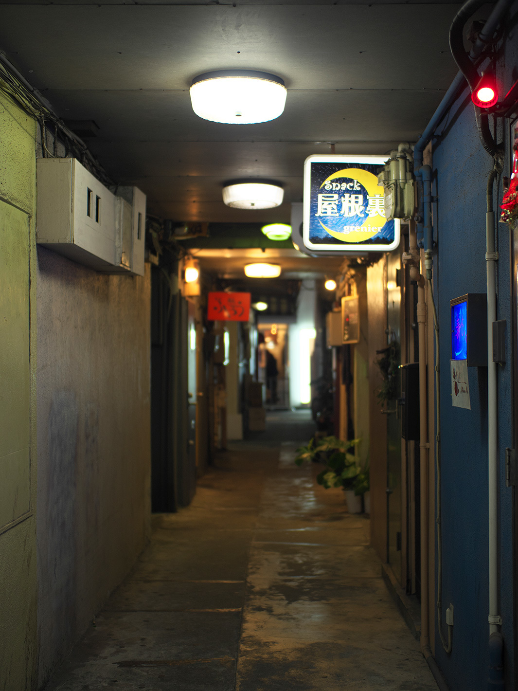 f0121181_03230669.jpg