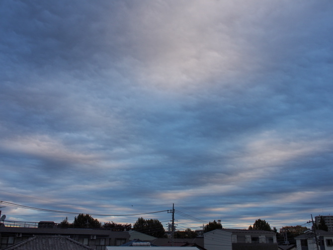 f0231393_15512659.jpg