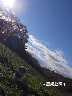 f0372998_21142185.jpg
