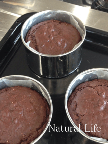b0162000_1756643.gif
