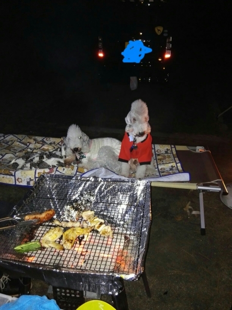 e0359403_20593335.jpg