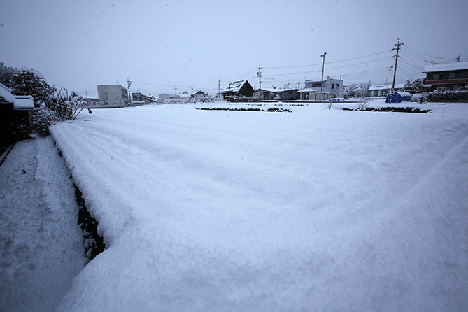 a0087804_14273304.jpg