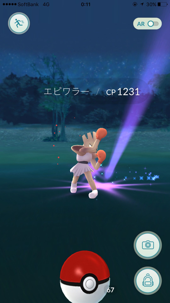 最後のポケモンゲットだぜぃ！_e0363908_01284818.jpg