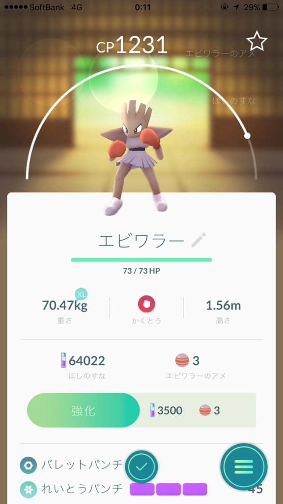 最後のポケモンゲットだぜぃ！_e0363908_01284992.jpg