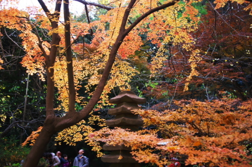 横浜　三溪園の紅葉2_a0263109_19231096.jpg