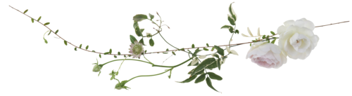 f0204110_919571.png