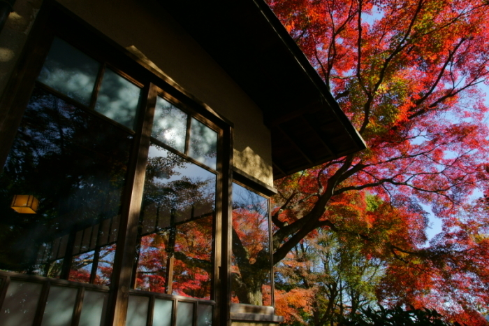 アサヒビール大山崎山荘美術館_e0177413_14030299.jpg